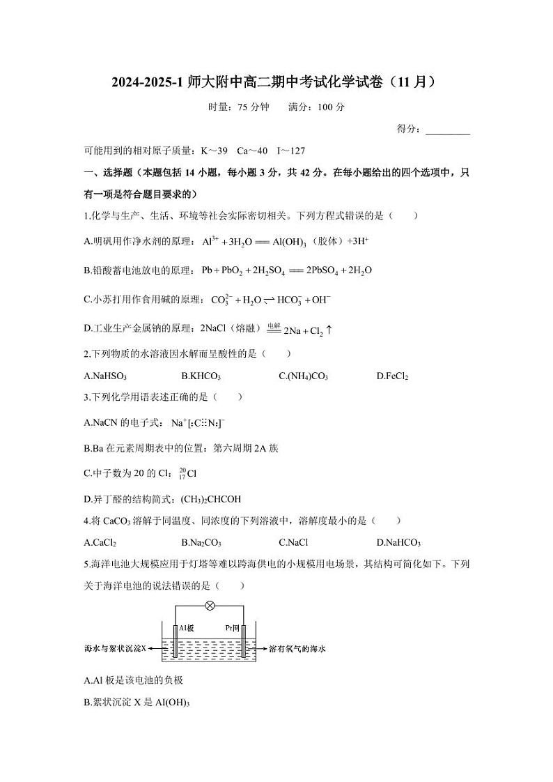 2024-2025-1师大附中高二期中考试化学试卷（11月）第1页