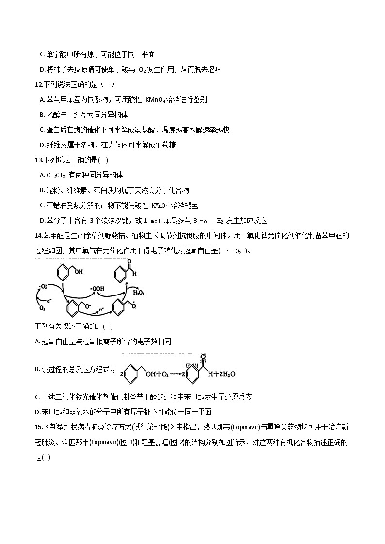 专题一2 常见有机化合物（含解析）-2025高考化学专题二轮复习冲刺练习第3页