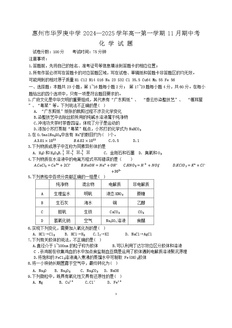 广东省惠州市华罗庚中学2024-2025学年高一上学期11月期中考试 化学试题第1页