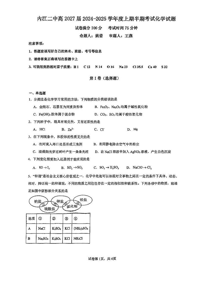 四川省内江市第二中学2024-2025学年高一上学期11月期中考试  化学试题第1页