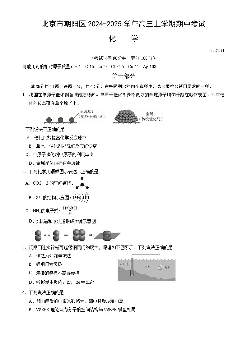 北京市朝阳区2024-2025学年高三上学期期中考试化学试卷（含答案）01
