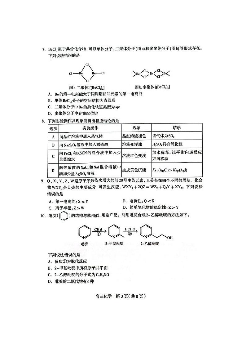2025届河北省石家庄高三上学期11月考-化学试题+答案第3页