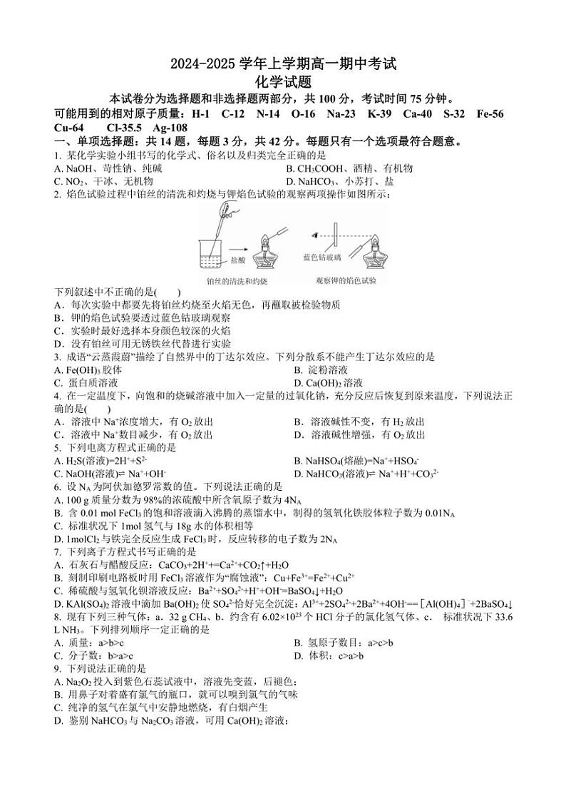 江西省赣州中学2024～2025学年高一(上)期中化学试卷(含答案)第1页