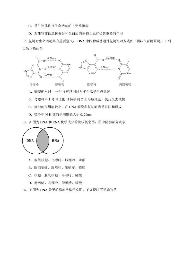 2025年高考化学一轮复习备考专项练 核酸第3页