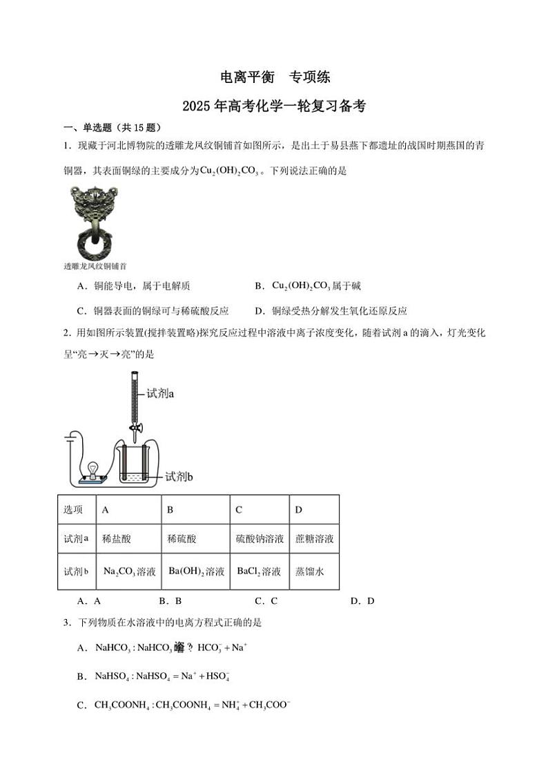 2025年高考化学一轮复习备考专项练 电离平衡第1页
