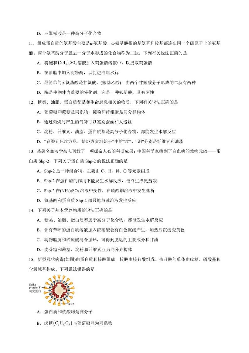 2025年高考化学一轮复习备考专项练 蛋白质第3页