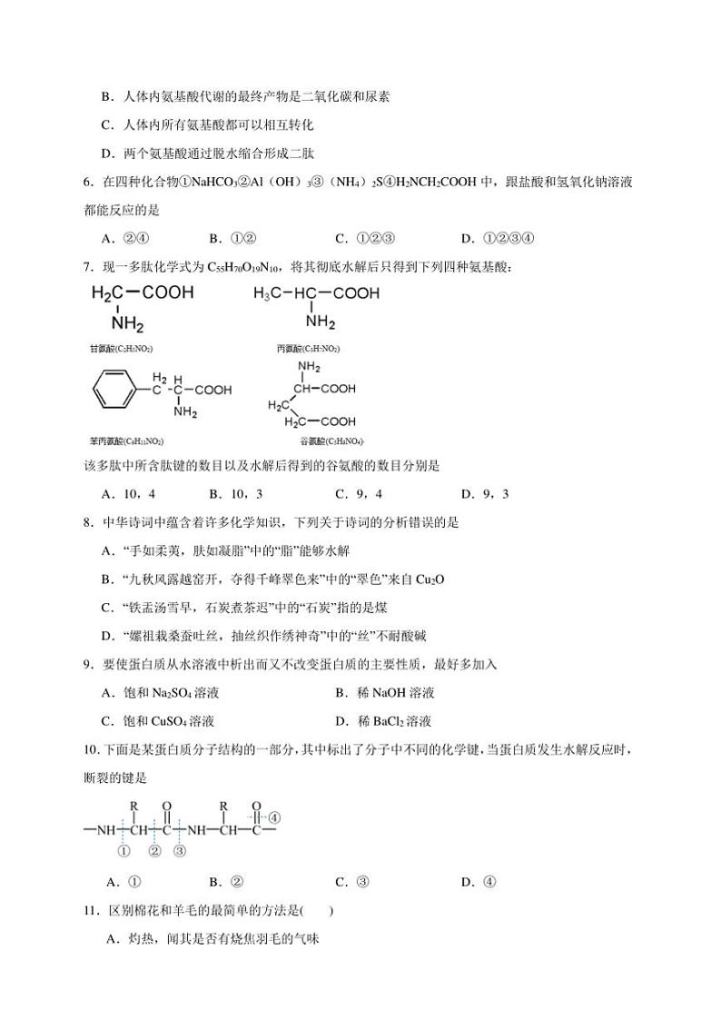 2025年高考化学一轮复习备考专项练 蛋白质和油脂第2页