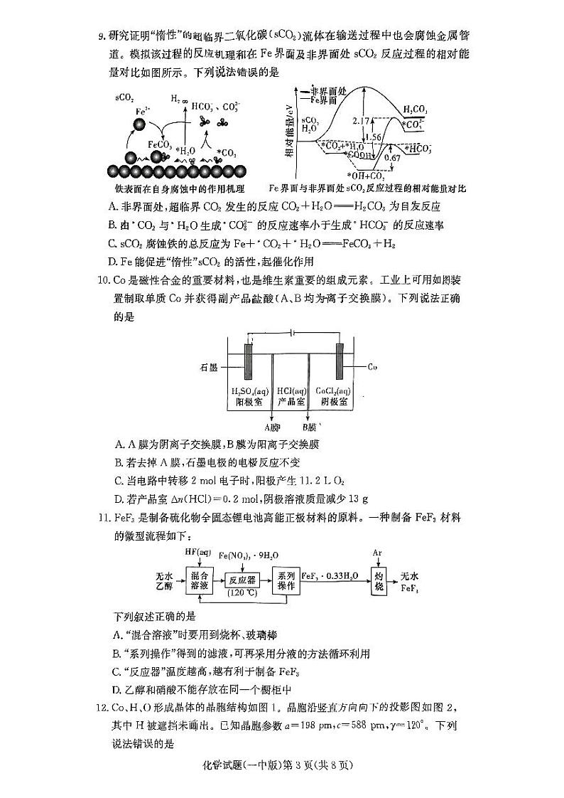 2025届长沙一中高三11月月考化学试题第3页