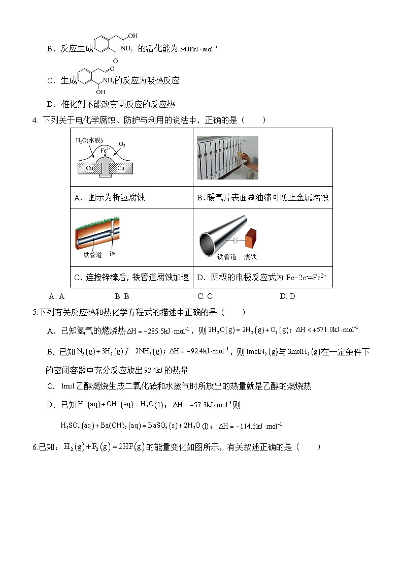 福建省福州十校2024-2025学年高二上学期期中考试化学试题第2页