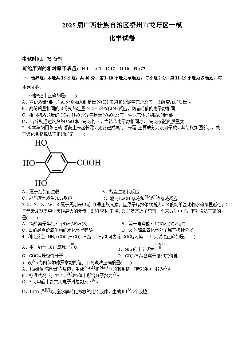 2025届广西壮族自治区梧州市龙圩区一模化学试卷第1页