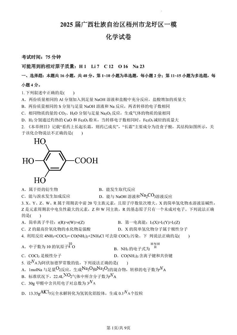 2025届广西壮族自治区梧州市龙圩区一模化学试卷第1页