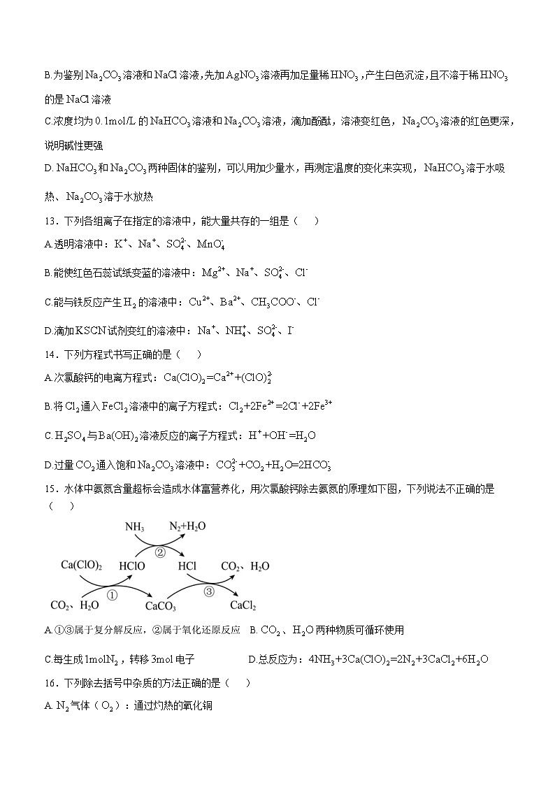 浙江省9 1 高中联盟2024-2025学年高一上学期期中考试化学试题第3页