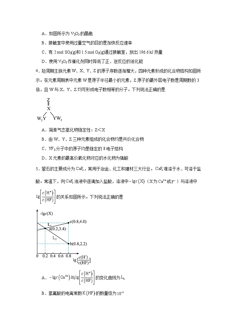 河南省周口市川汇区两校联考2024-2025学年高三上学期一模化学试题第2页