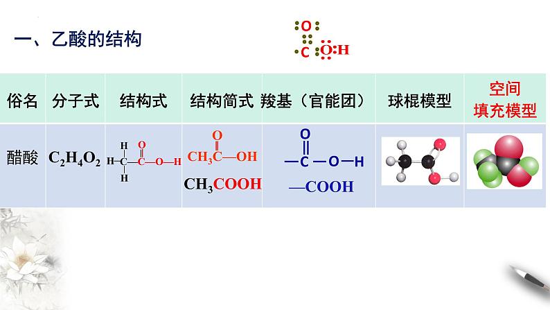 7.3.2乙醇和乙酸第二课时  乙酸  课件  2023-2024学年高一下学期化学人教版（2019）必修第二册第4页