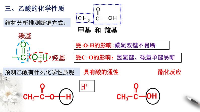 7.3.2乙醇和乙酸第二课时  乙酸  课件  2023-2024学年高一下学期化学人教版（2019）必修第二册第7页