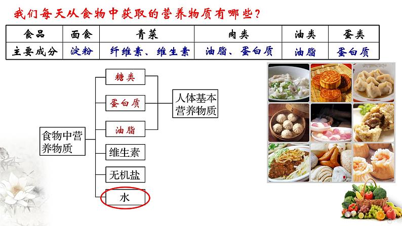 7.4.1基本营养物质第一课时  糖类  课件  2023-2024学年高一下学期化学人教版（2019）必修第二册第2页