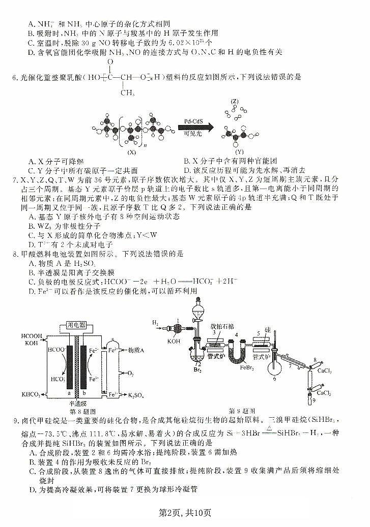 河北省沧州市三校联考2024-2025学年高三上学期11月期中考试 化学试题第2页