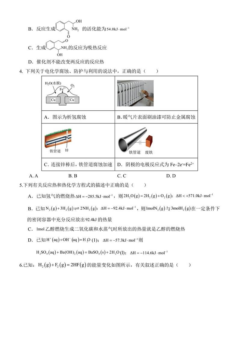 福建省福州十校2024～2025学年高二(上)期中化学试卷(含答案)第2页