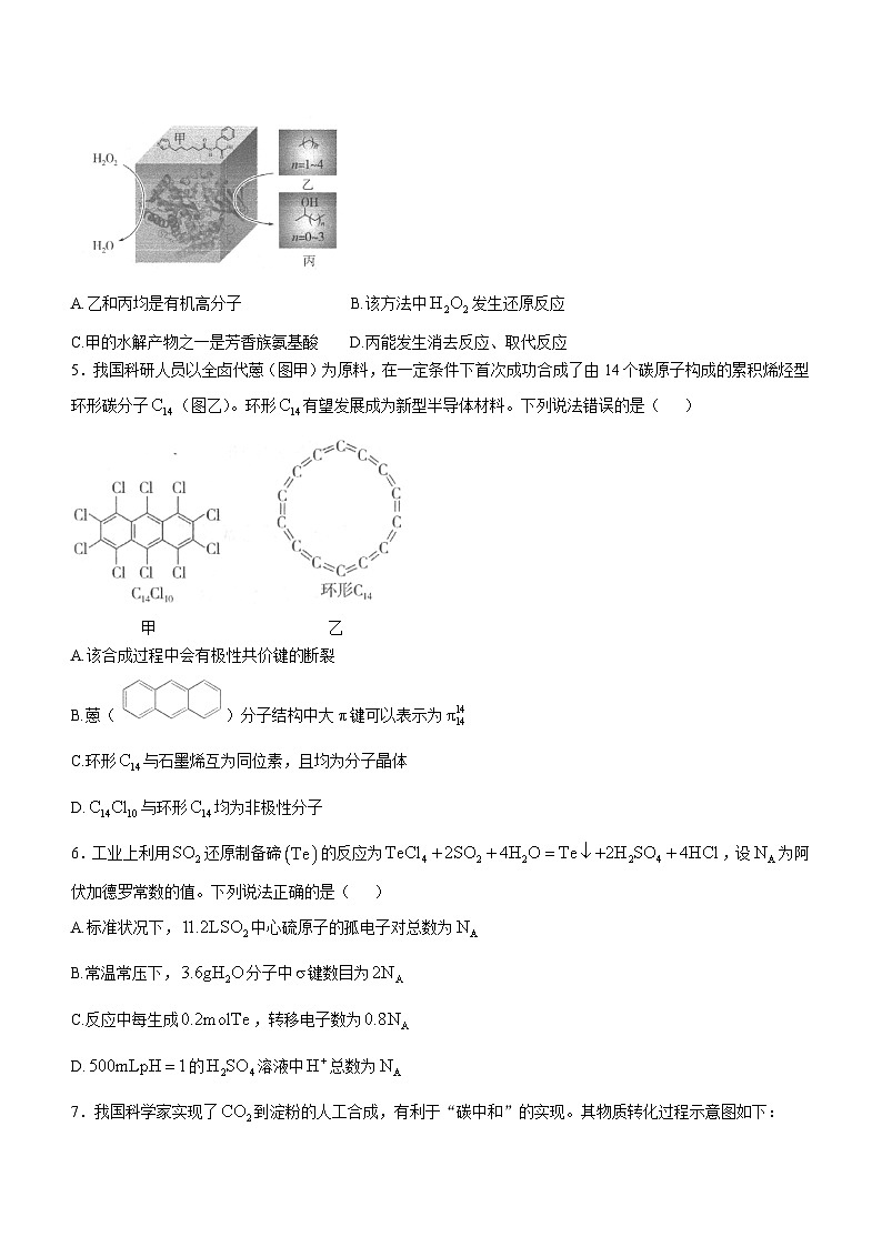 陕西省汉中市2024-2025学年高三上学期11月期中联考化学试卷（Word版附解析）第2页