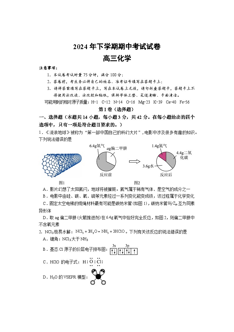 湖南省邵阳市武冈市2024-2025学年高三上学期期中考试化学试题第1页