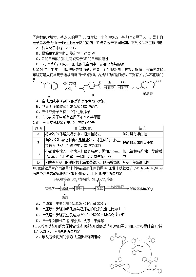 湖南省邵阳市武冈市2024-2025学年高三上学期期中考试化学试题第3页