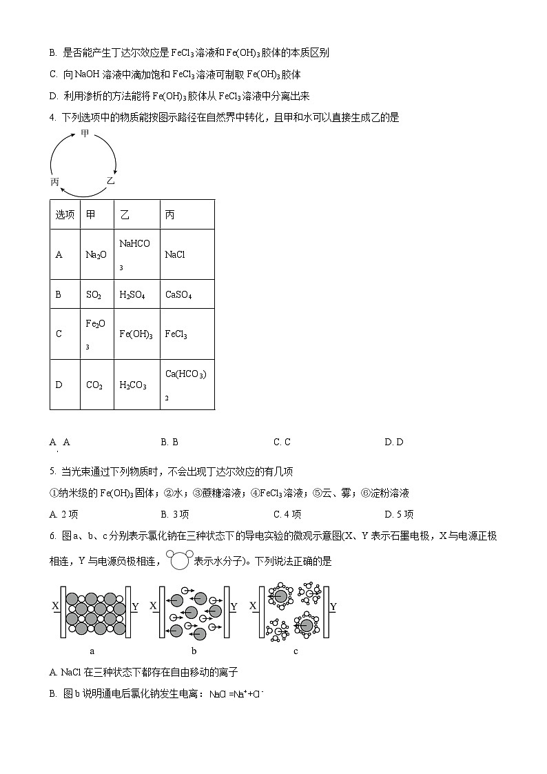 四川省成都市石室成飞中学高2024-2025学年上期高一10月月考化学 Word版无答案第2页