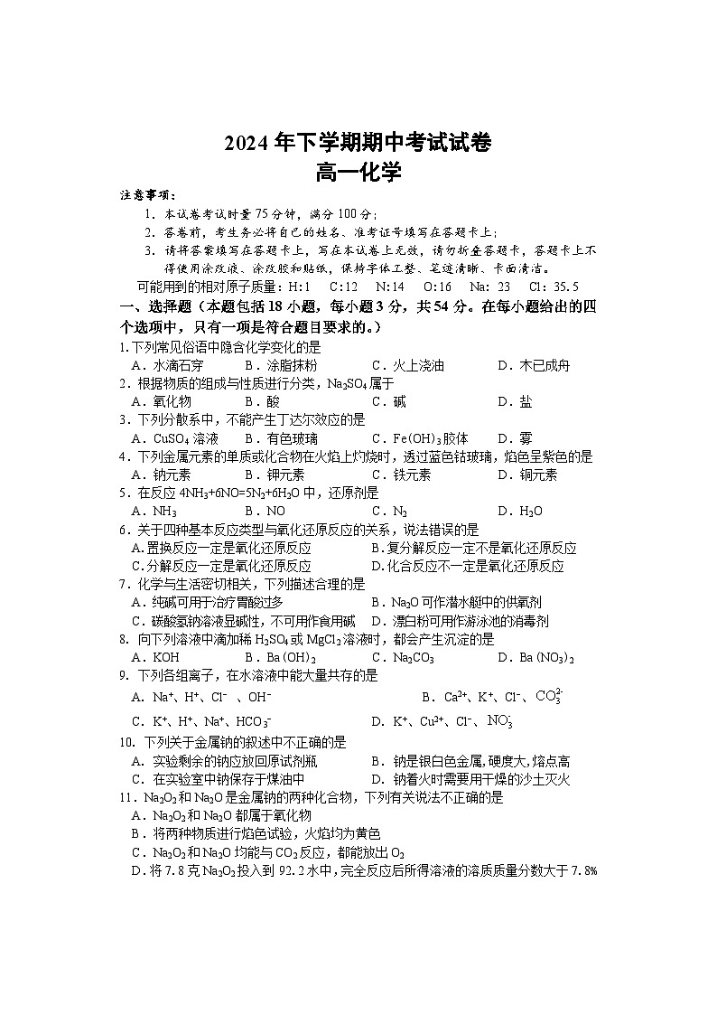 湖南省邵阳市武冈市2024-2025学年高一上学期期中考试化学试题第1页