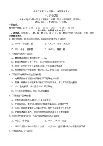 四川省泸县第五中学2024-2025学年高一上学期11月期中考试 化学试题