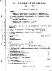 河北省邢台市质检联盟2024-2025学年高二上学期11月期中考试化学试卷（PDF版附答案）
