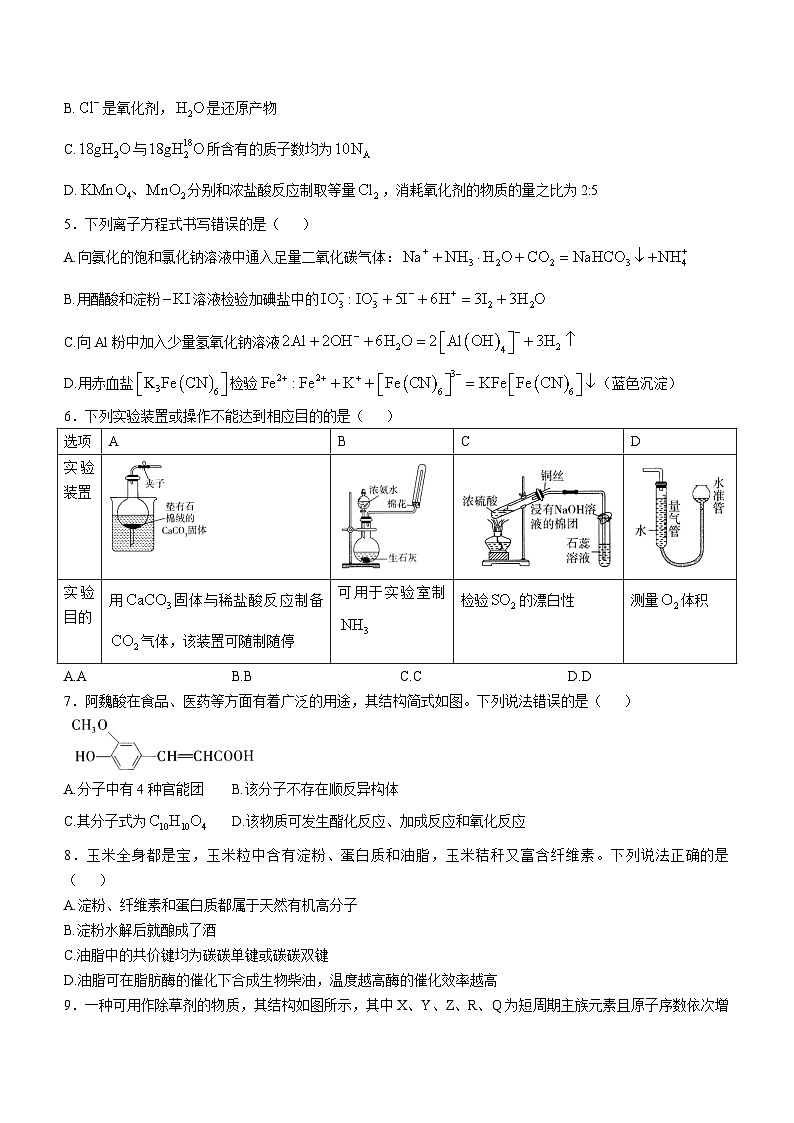 山西省2024-2025学年高三上学期11月期中考试  化学试题第2页