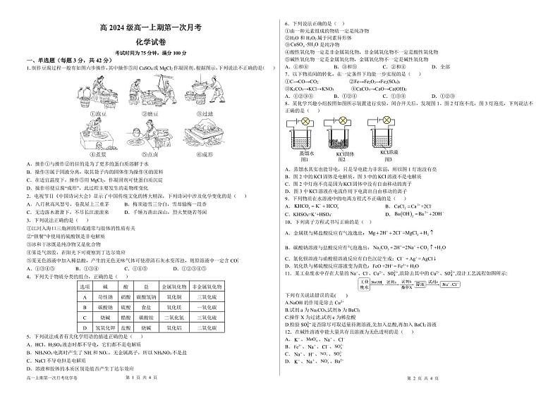四川省乐山市五通桥区东辰外国语学校2024-2025学年高一上学期第一次月考+化学试卷第1页