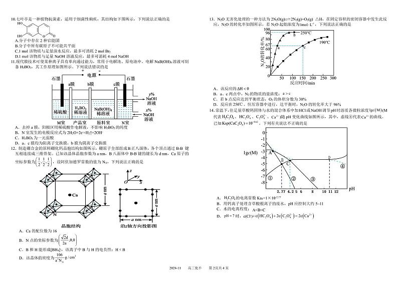 四川省成都市树德中学2024-2025学年高三上学期期中考试化学试题 扫描版含答案第2页