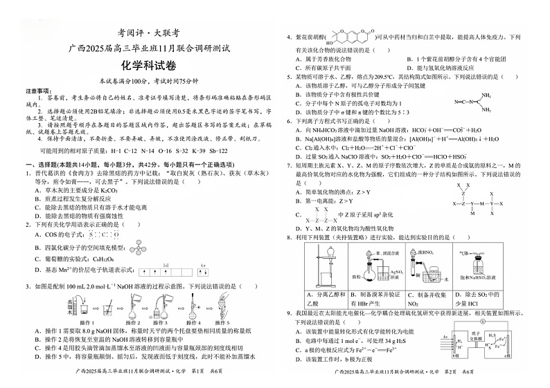 广西南宁市2024-2025学年高三上学期11月联考 化学试题01