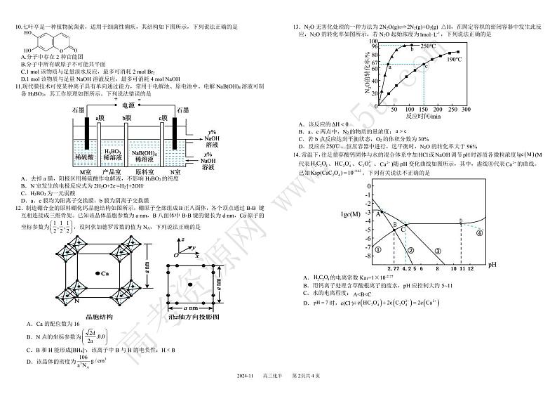 2025成都树德中学高三上学期期中考试化学试题扫描版含答案02