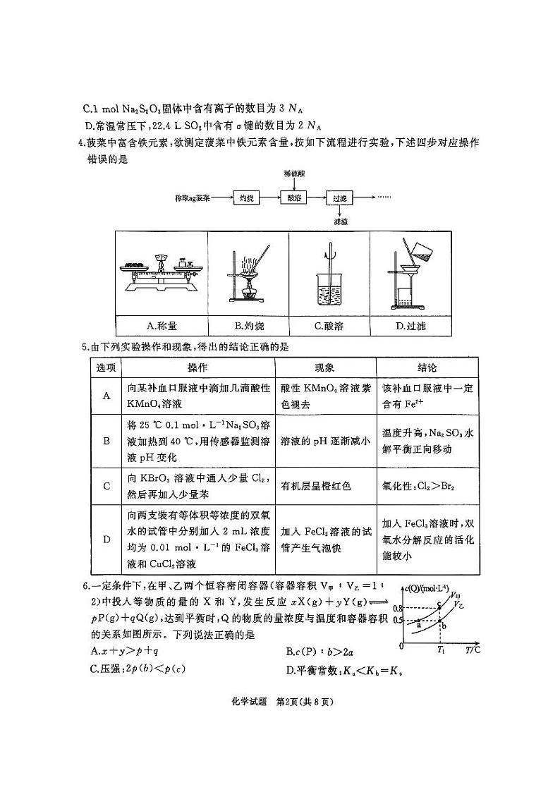 2025枣庄滕州高三上学期11月定时训练（期中）考试化学试题PDF版无答案第2页