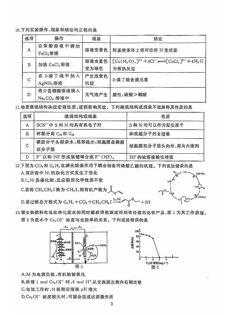2025届湖北省武汉市江岸区高三上学期11月调研-化学试题+答案第3页