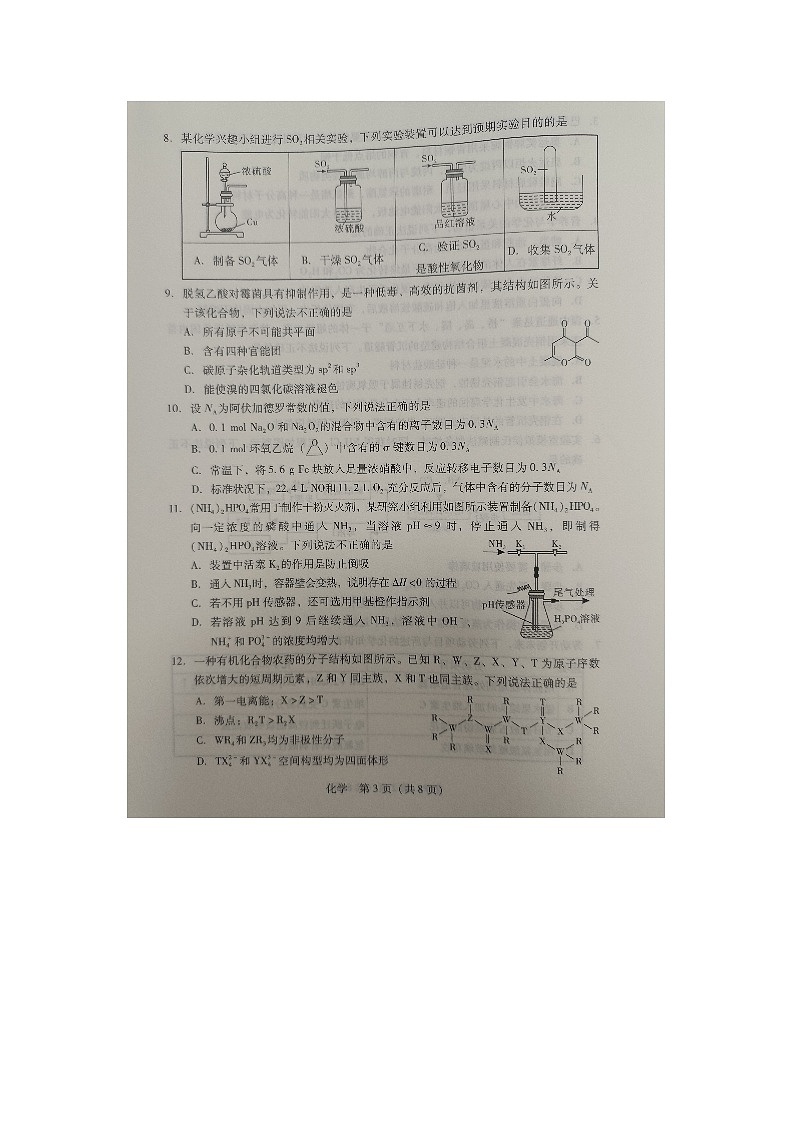 广东省部分学校2024-2025学年高三上学期11月联考 化学试卷第3页