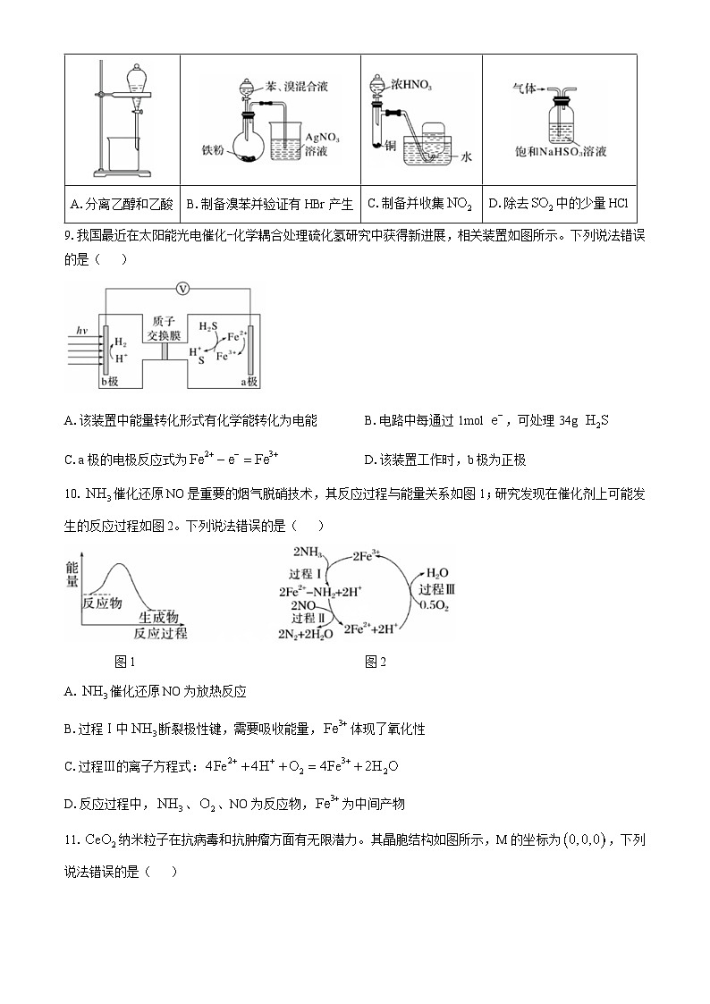 广西南宁市2024-2025学年高三上学期11月联考 化学试题第3页