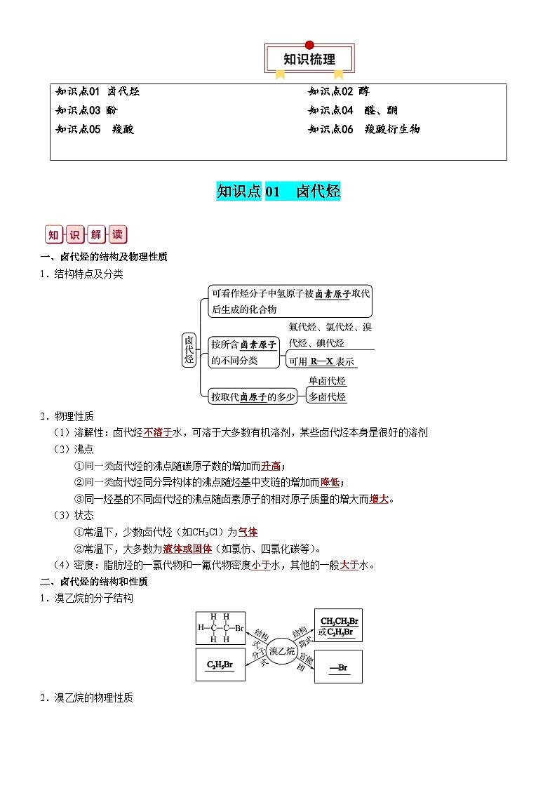 专题28  烃的衍生物-【知识清单】最新高考化学一轮复习知识点一览表02