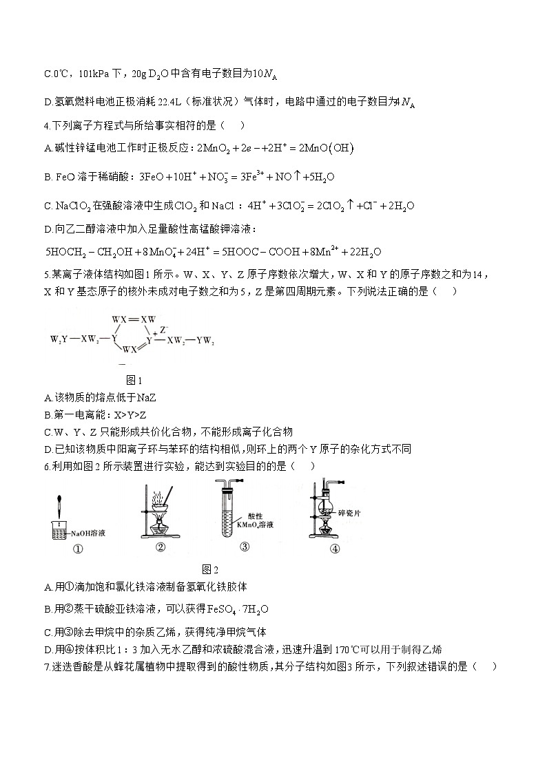 贵州省2024-2025学年高三上学期11月期中化学试题第2页