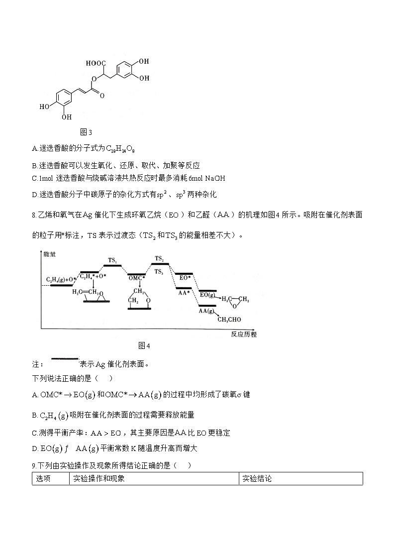 贵州省2024-2025学年高三上学期11月期中化学试题第3页