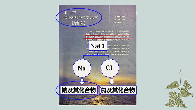 2.1.1钠 高中化学必修一教学课件【人教版新教材】第4页