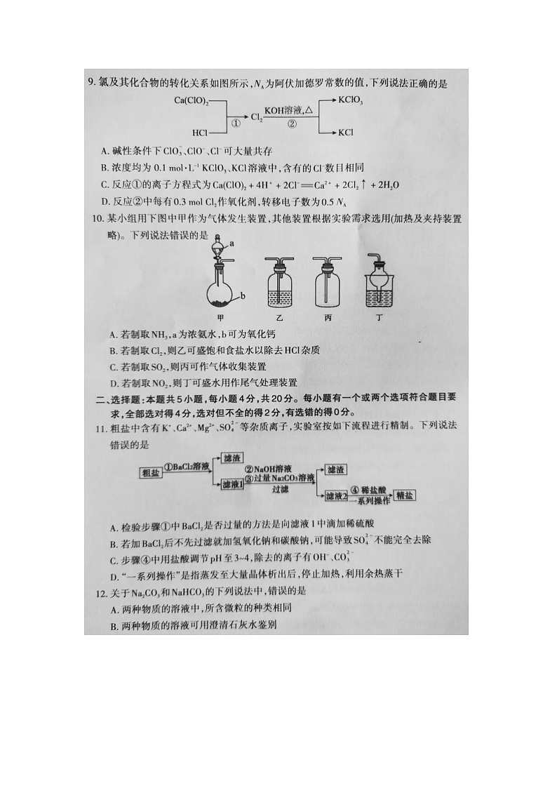2025届山东省泰安市高三(上)11月期中考试（图片版）化学试卷第3页