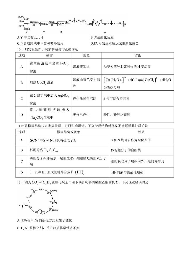 2024～2025学年湖北省武汉市江岸区高三(上)11月调研考试化学试卷(含答案)第3页