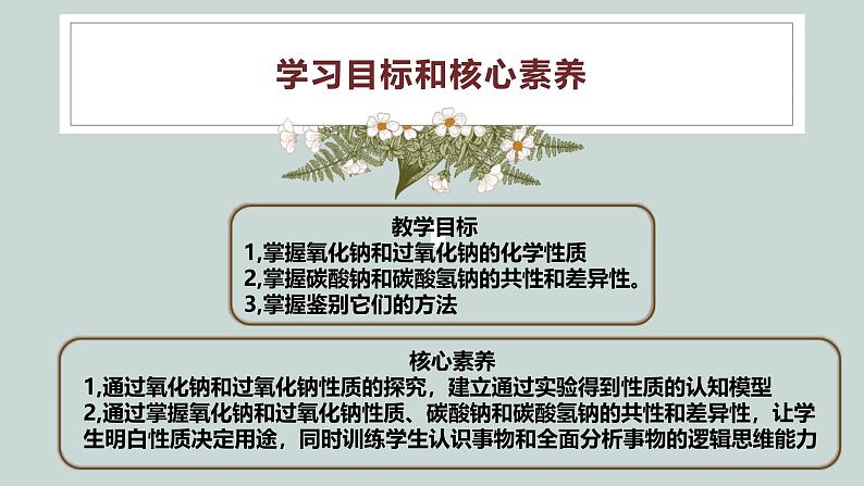 2.1.2钠的几种化合物 高中化学必修一教学课件【人教版新教材】第2页