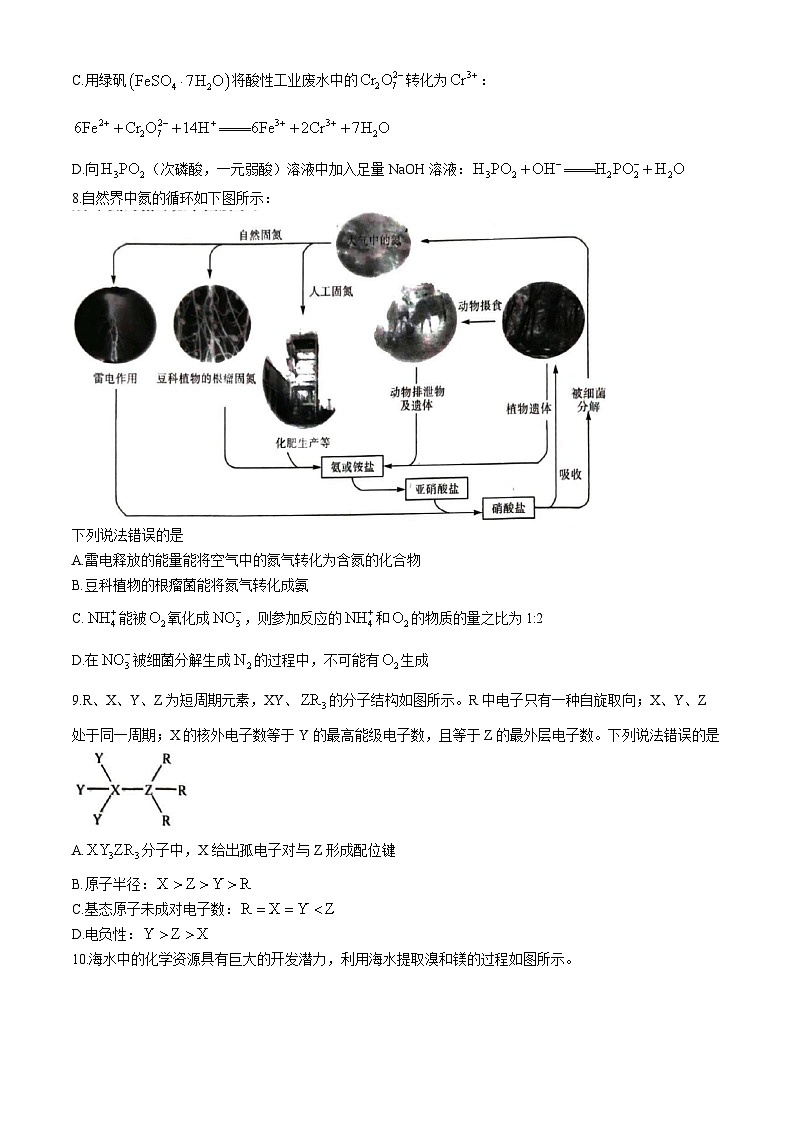 河南省漯河市第四高级中学2024-2025学年高三上学期期中考试 化学试卷第3页