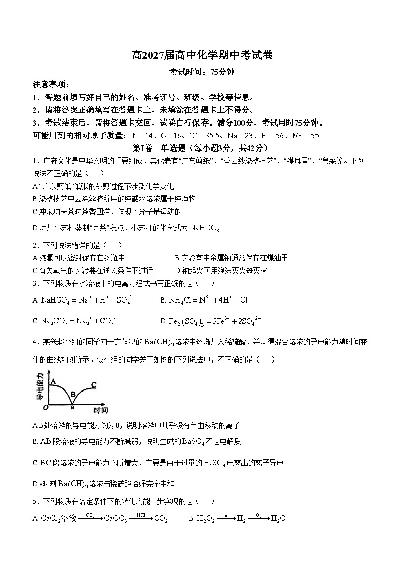 四川省自贡市荣县中学校2024-2025学年高一上学期期中考试  化学试题第1页