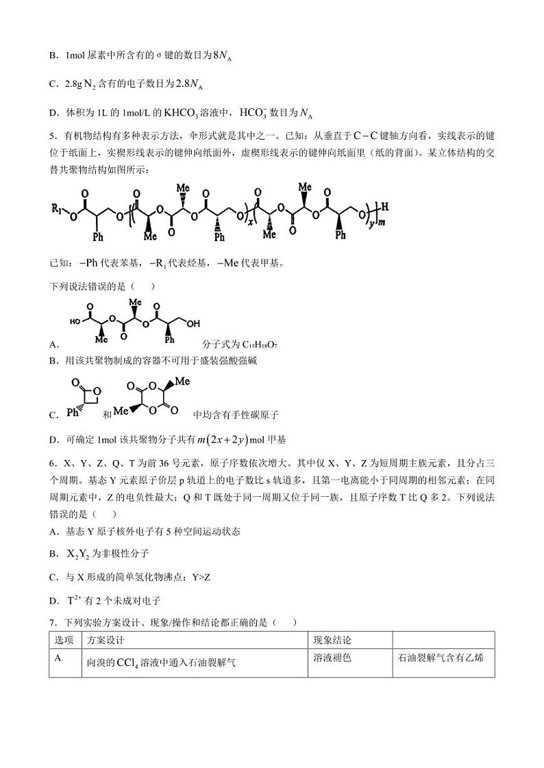 2025届江西省景德镇市高三上学期11月考-化学试卷+答案第2页