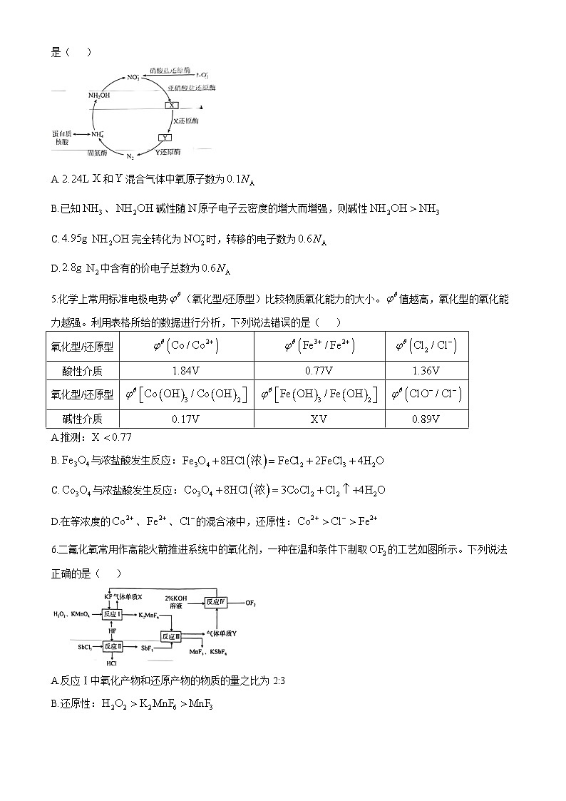 山东省淄博市2024-2025学年高三上学期期中考试 化学试题(无答案)02
