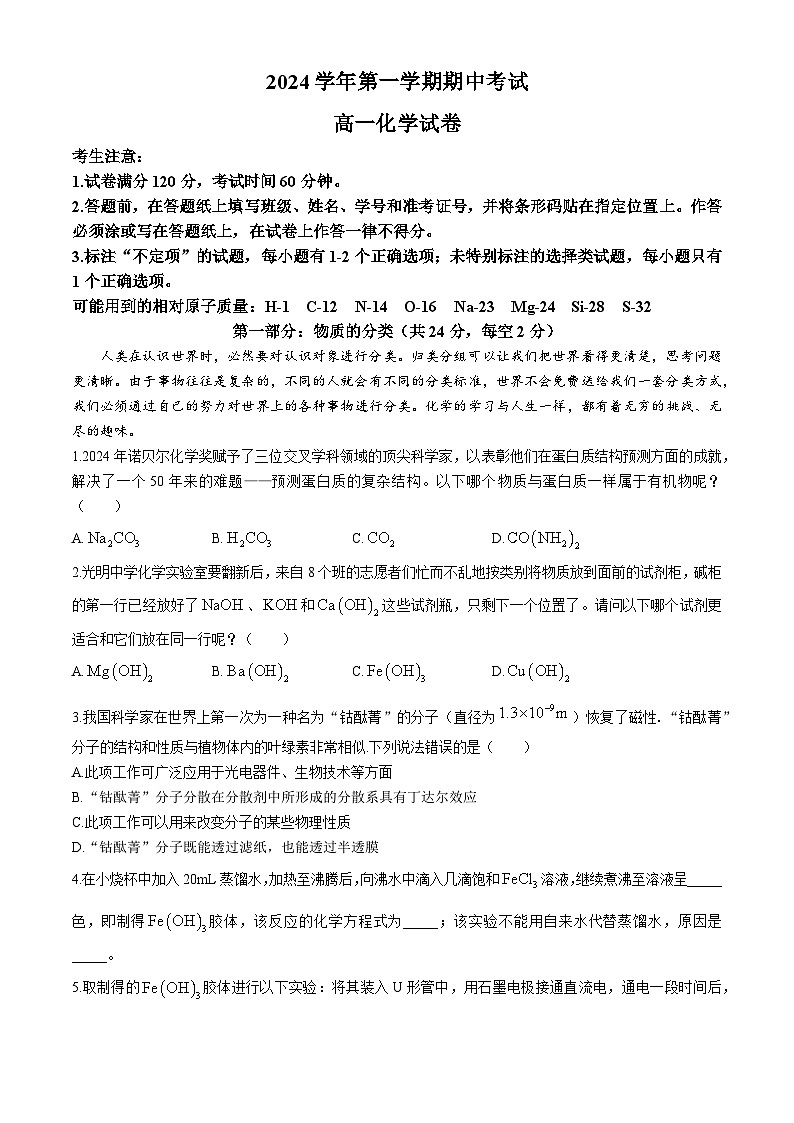 上海市光明中学2024-2025学年高一上学期期中考试 化学 试卷 (无答案)01